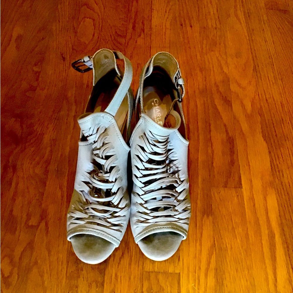 Charles by Charles David size 10